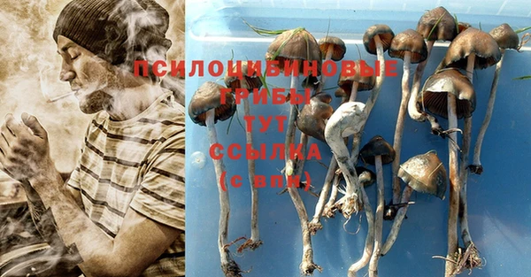 кокаин Гусиноозёрск