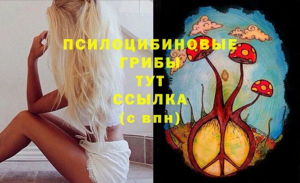 дмт Елизово