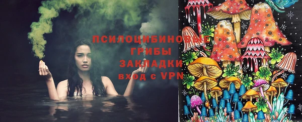 а пвп мука Дмитровск