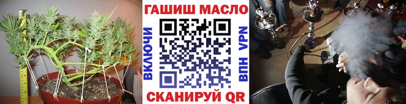 цены   Чернушка  ТГК THC oil 